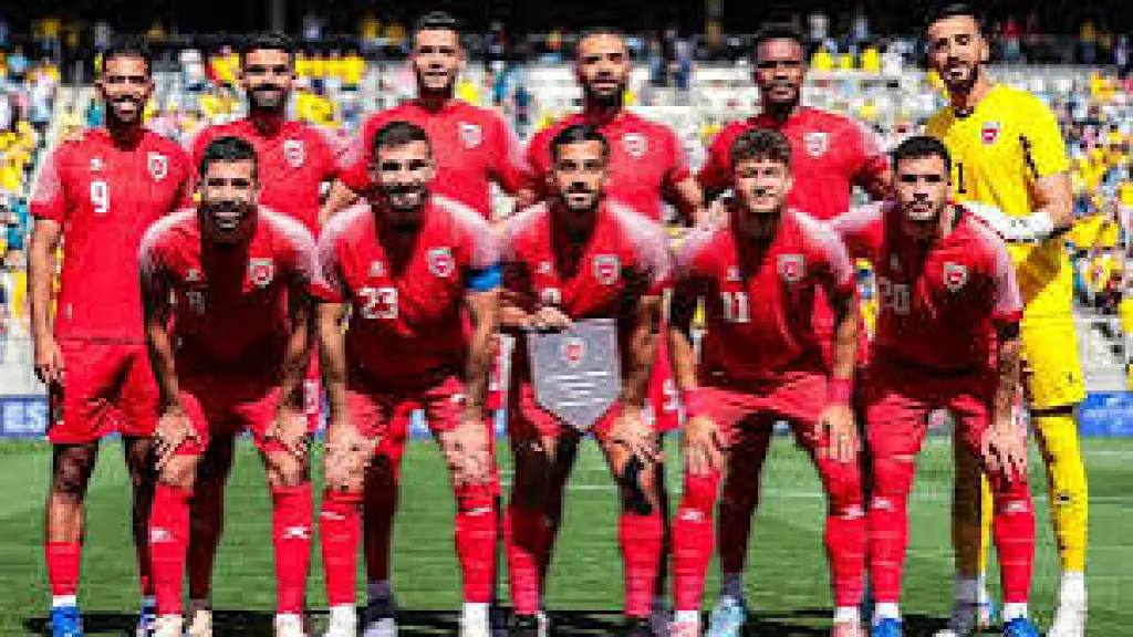 رياضيون: مشاركة منتخبنا الوطني في كأس العالم تعزز المكانة الدولية والسياحية للمملكة